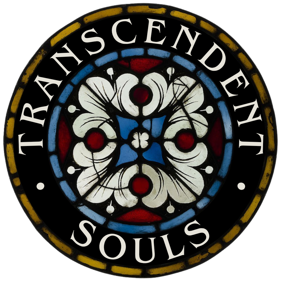 Campaign cover for Transcendent Souls IV