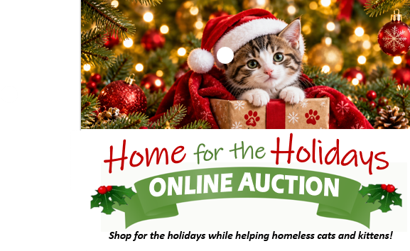 Campaign cover image for Home for the Holidays Online Auction 2026