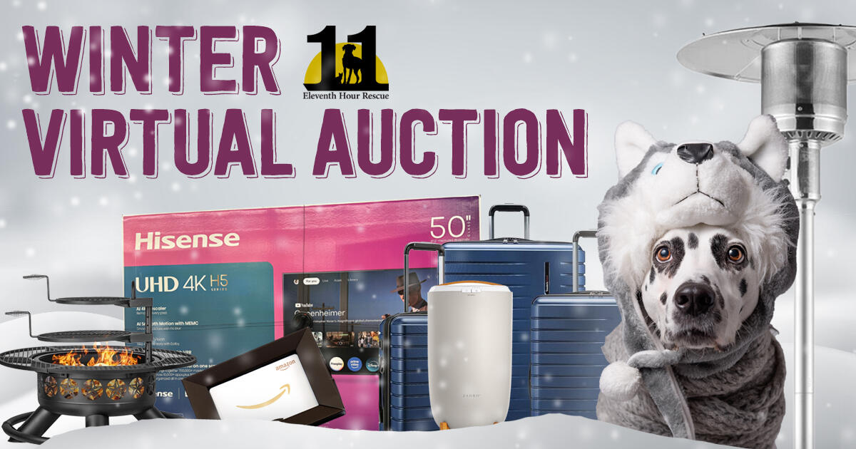 Campaign cover image for EHR 2026 Winter Virtual Auction