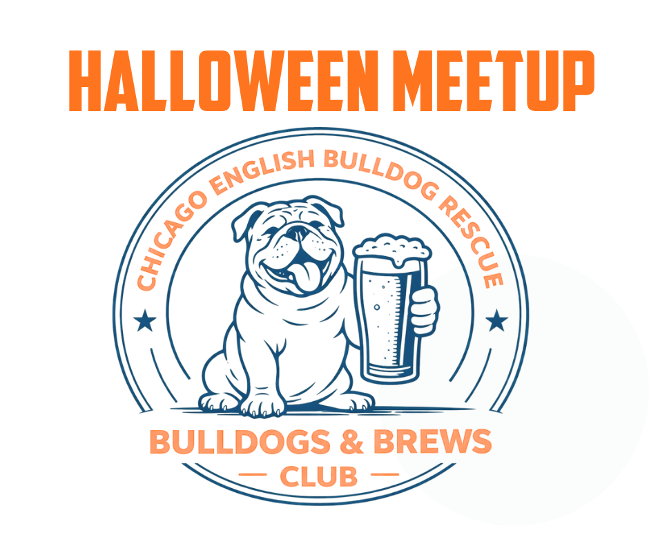 Campaign cover image for Bulldogs & Brews Club Halloween Meetup Une Annee