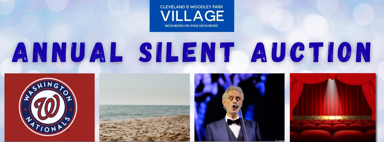 Campaign cover image for Village Silent Auction Fundraiser 2025