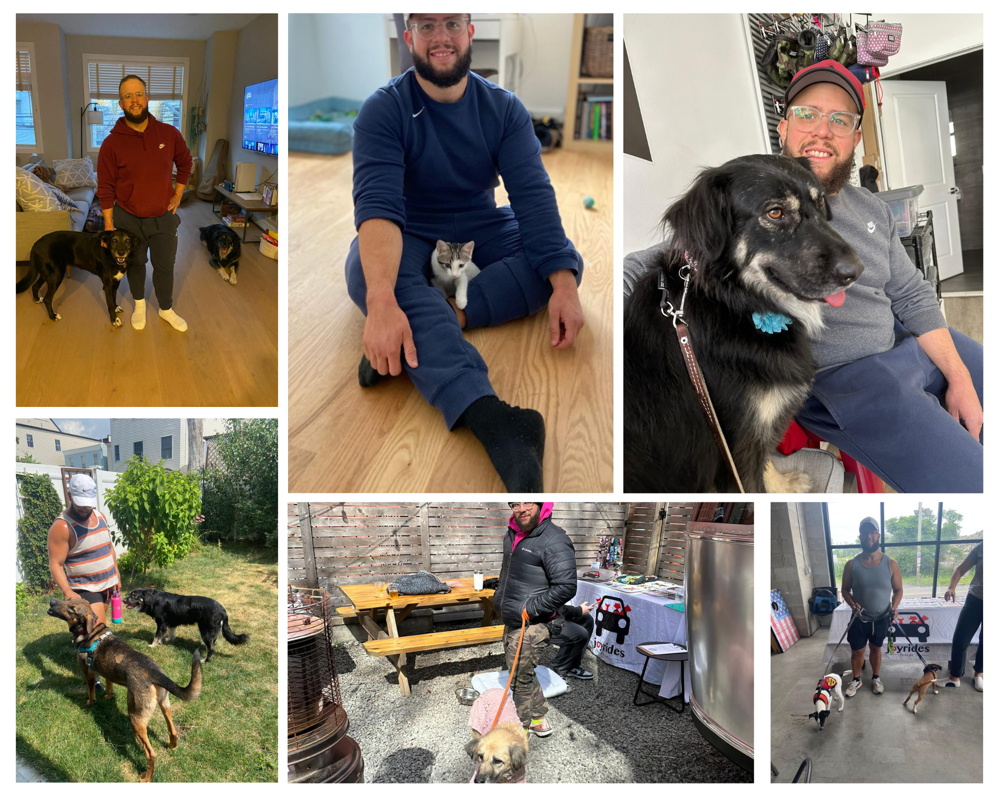 Campaign cover image for Joyrides Rescue Fundraiser