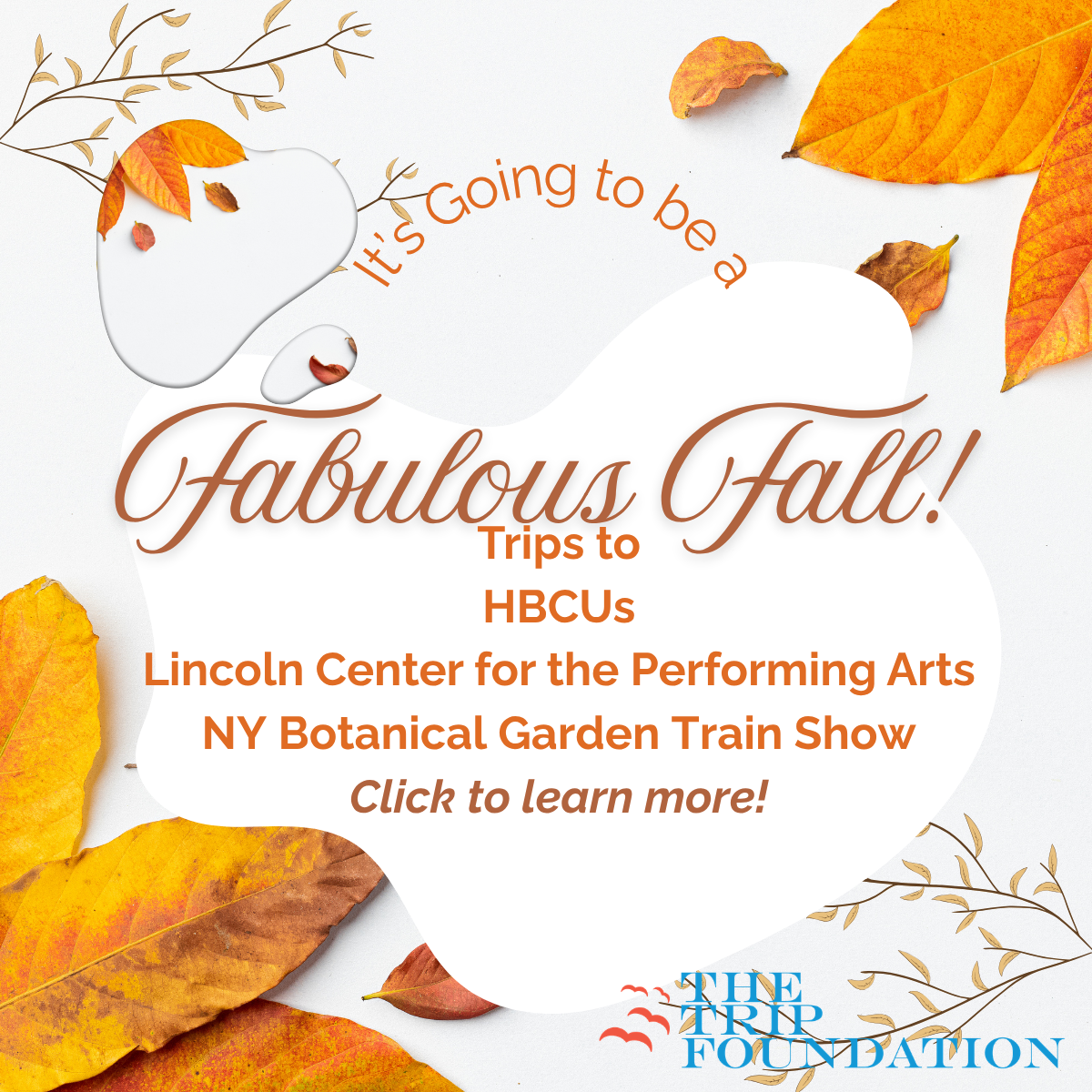 Campaign cover image for Fabulous Fall!