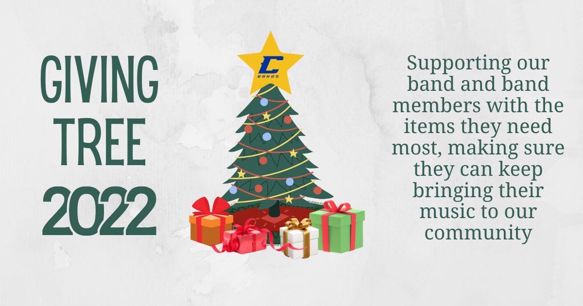 Campaign cover image for 2022 Hooch Bands Holiday Giving Tree