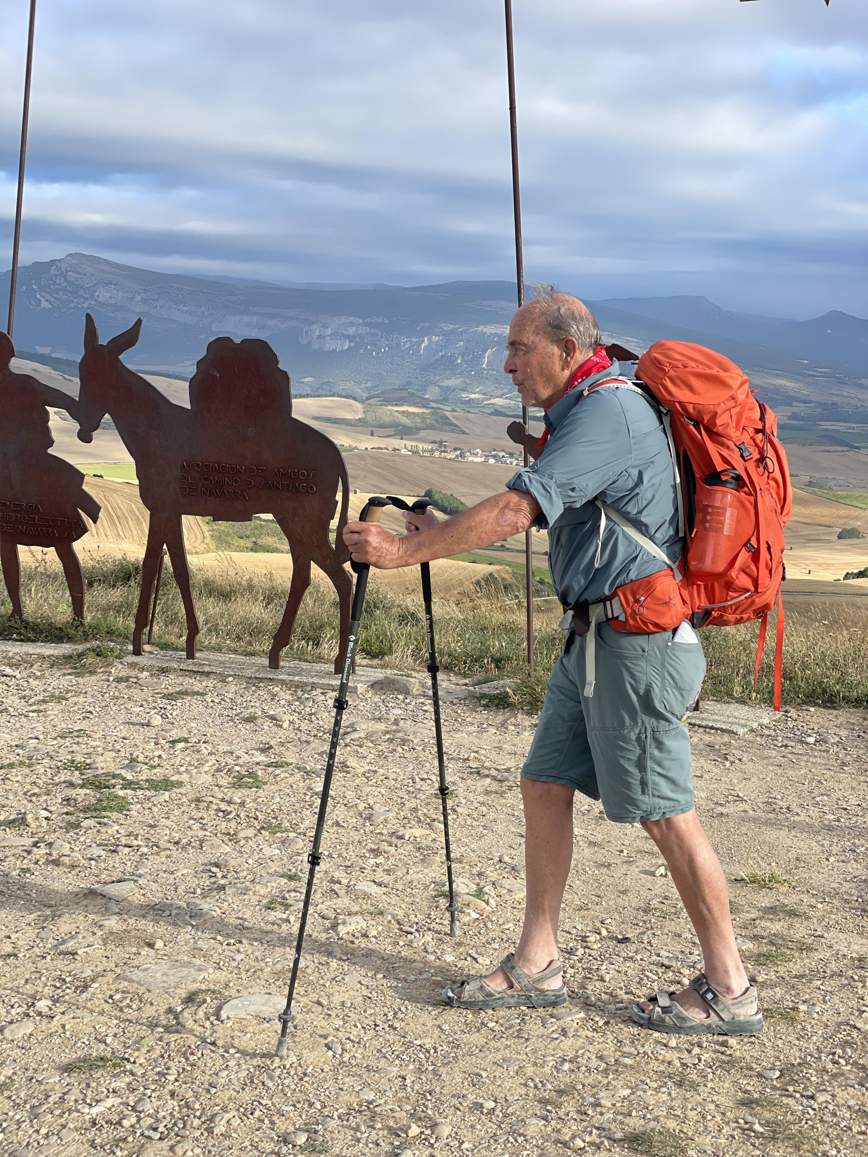 Campaign cover for Walking the Camino for PiLA