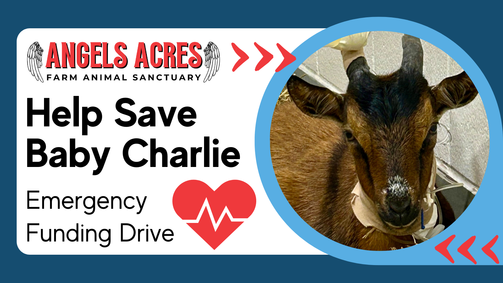 Campaign cover image for Help fund life saving procedure for baby Charlie