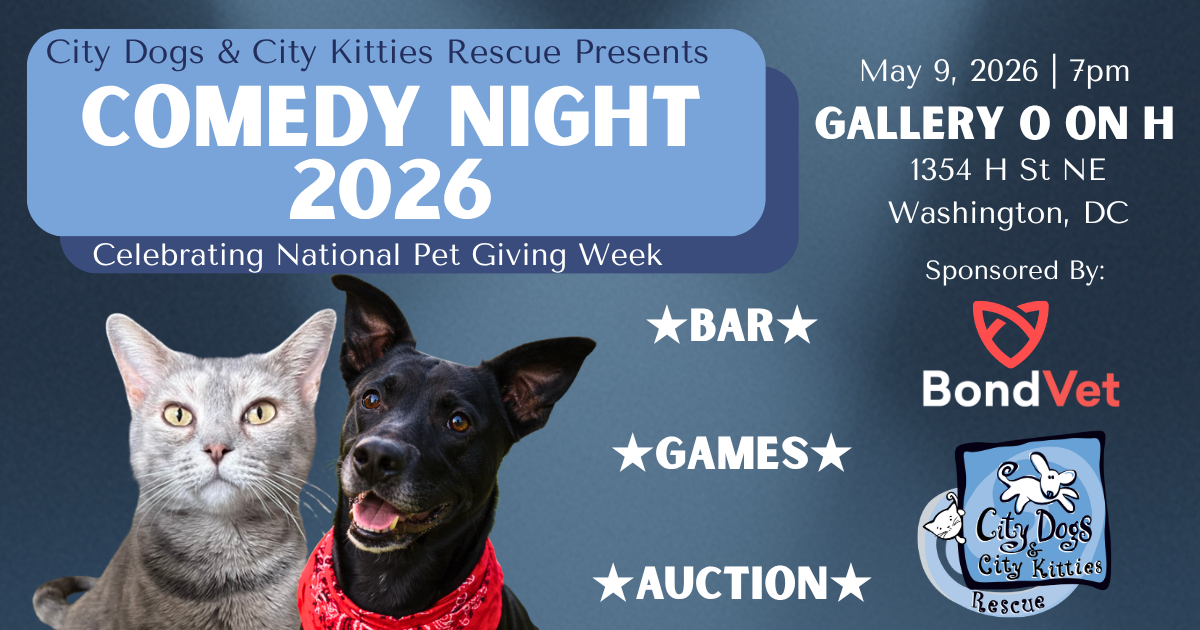 Campaign cover image for City Dogs & City Kitties Rescue Comedy Night 2026