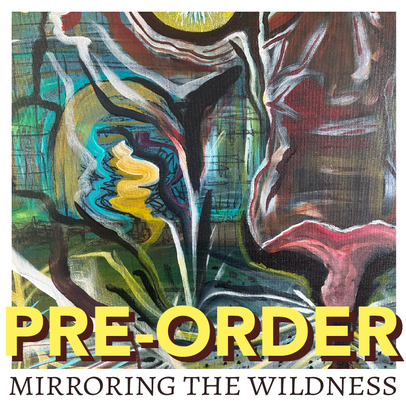 Campaign cover image for JOIN MIRRORING THE WILDNESS - VANESSA LIVELY'S NEXT ALBUM!