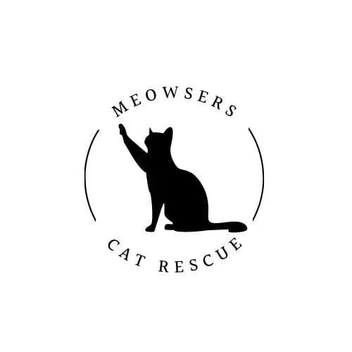 Campaign cover image for #MeowsersMission: New Shelter Location!