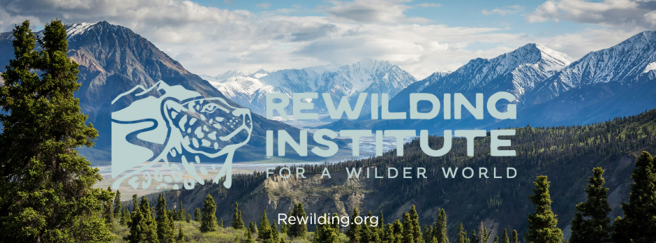 Campaign cover image for Podcast