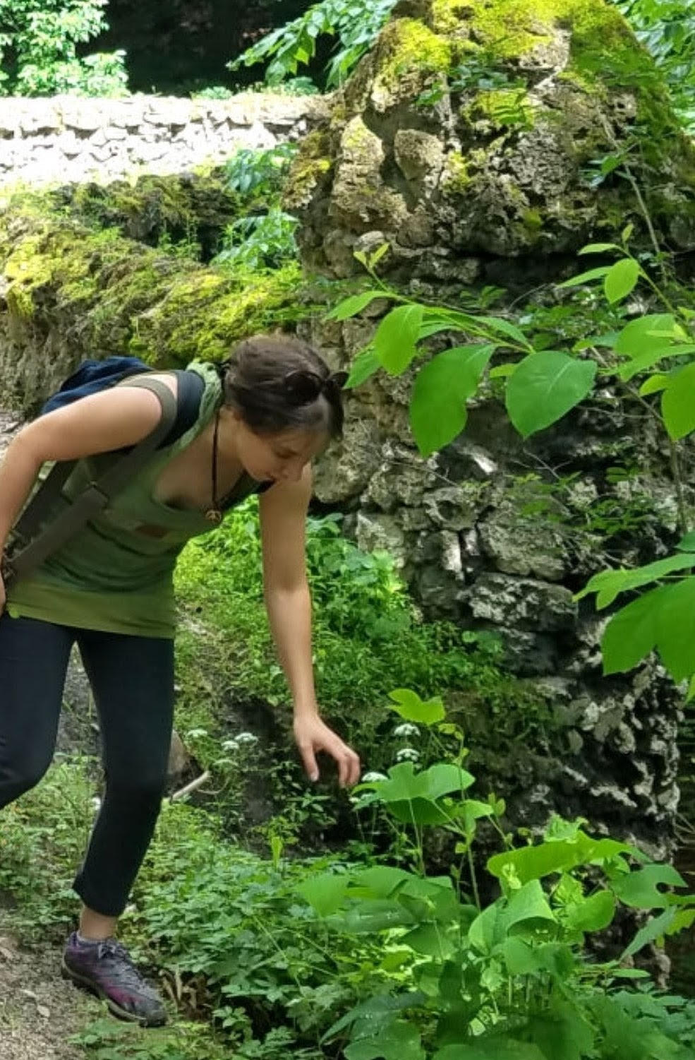 Campaign cover image for Folk Herbalist Plant Walk
