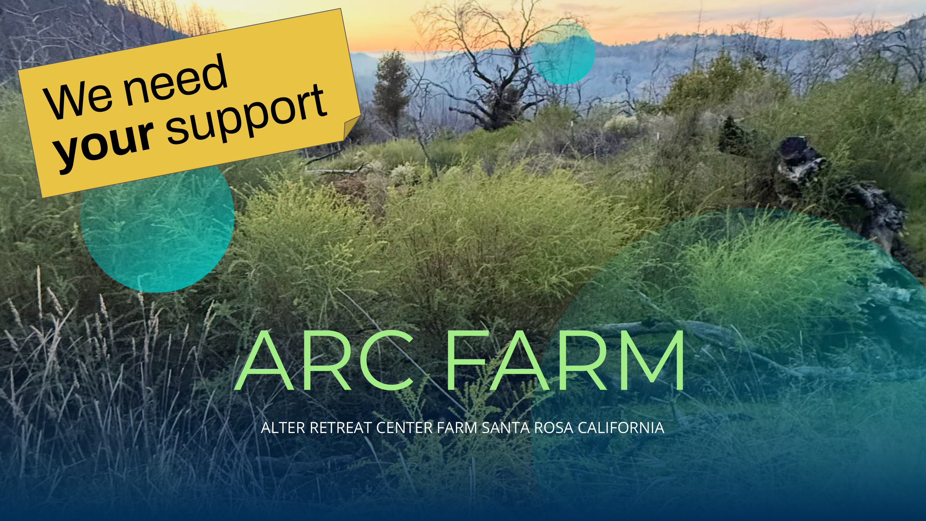 ARC Farm San Francisco Pride ARC Farm San Francisco Pride
