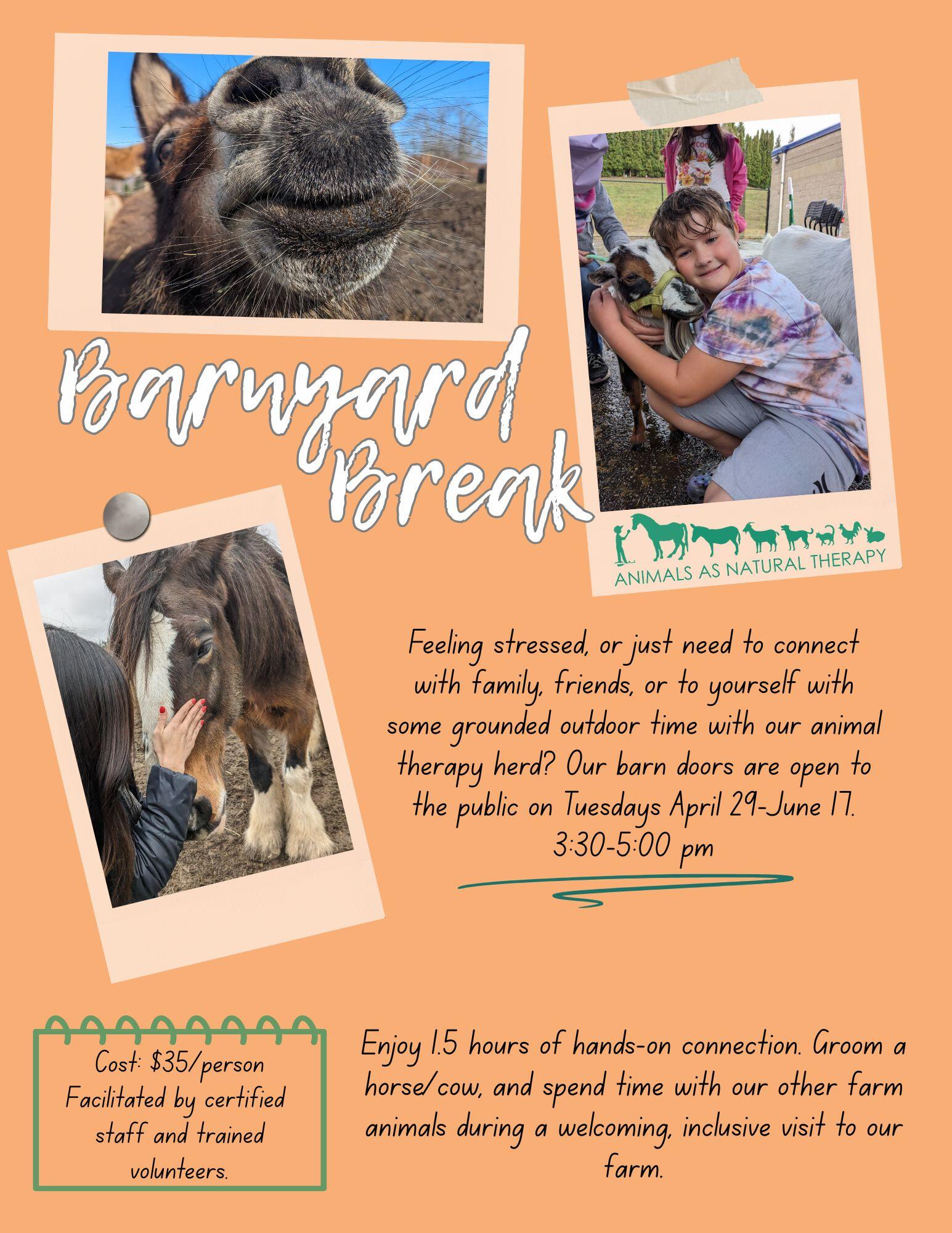 Campaign cover image for Barnyard Break - June 3rd