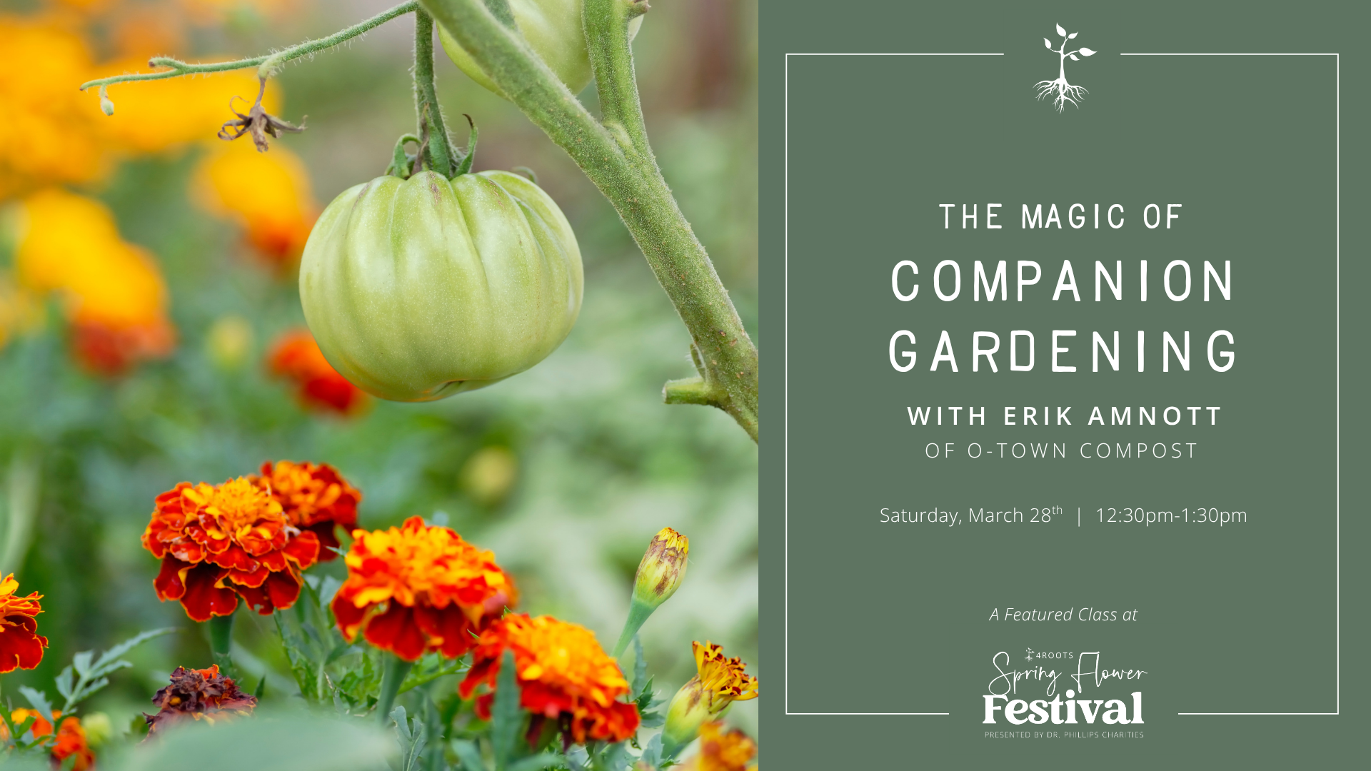 Campaign cover image for The Magic of Companion Gardening