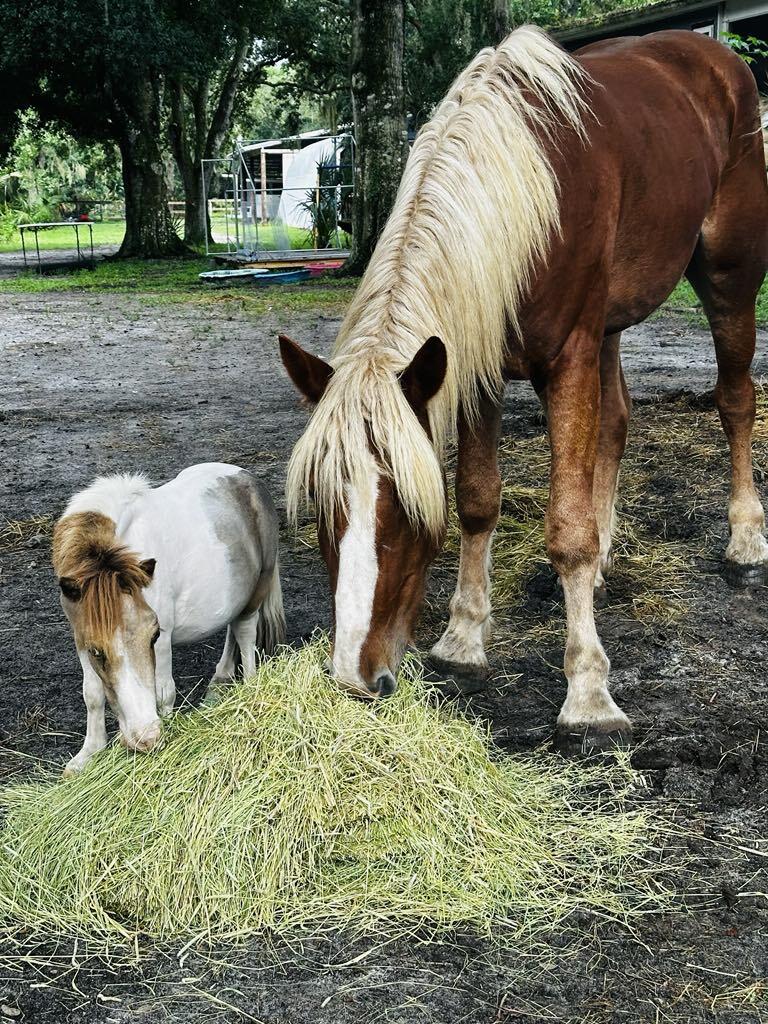 Campaign cover image for Fourth Quarter Match Challenge