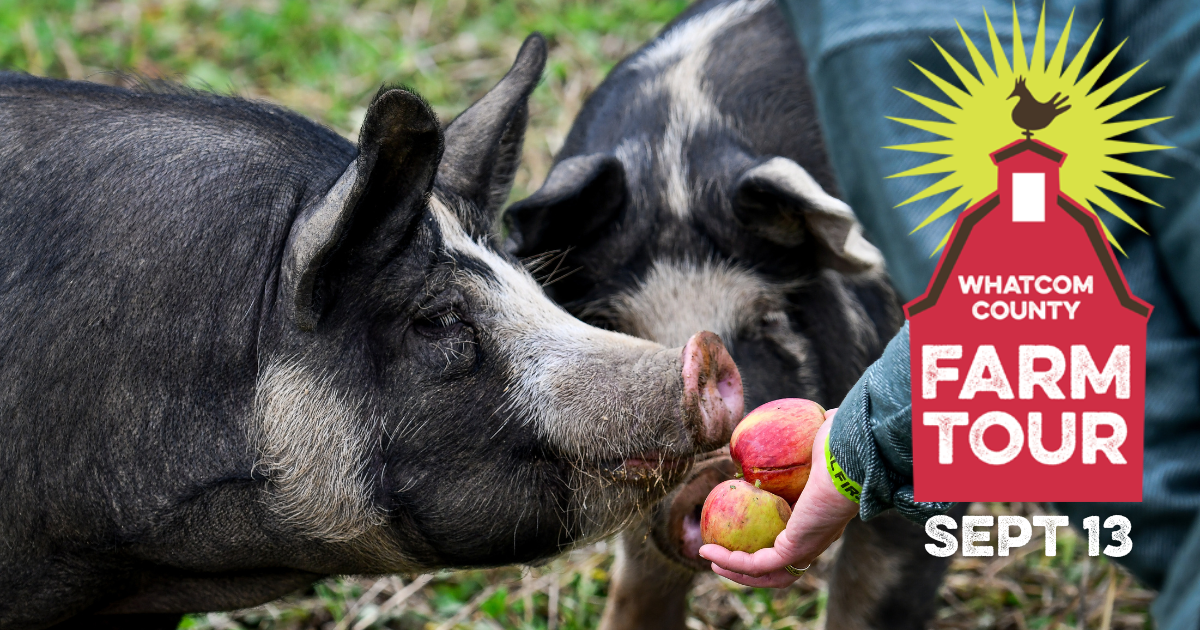 Campaign cover image for 2025 Whatcom County Farm Tour Registration