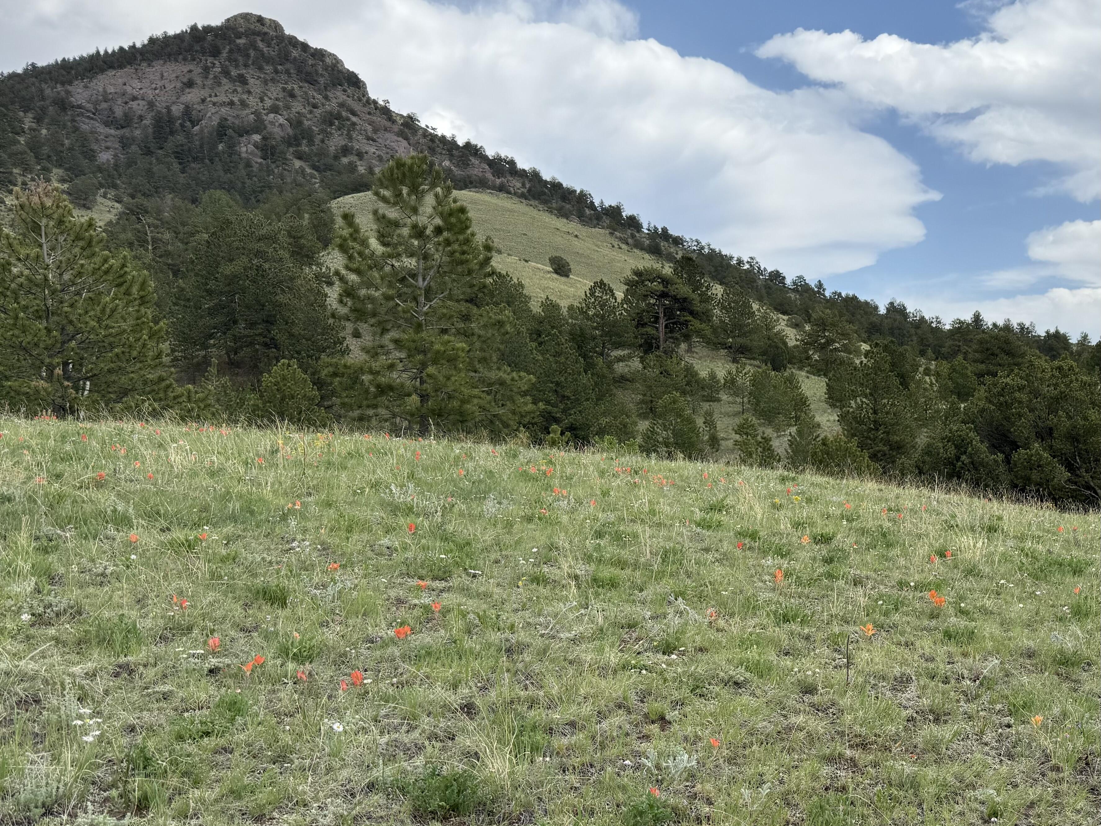 Campaign cover image for Aloha Ke Akua Ranch Infrastructure