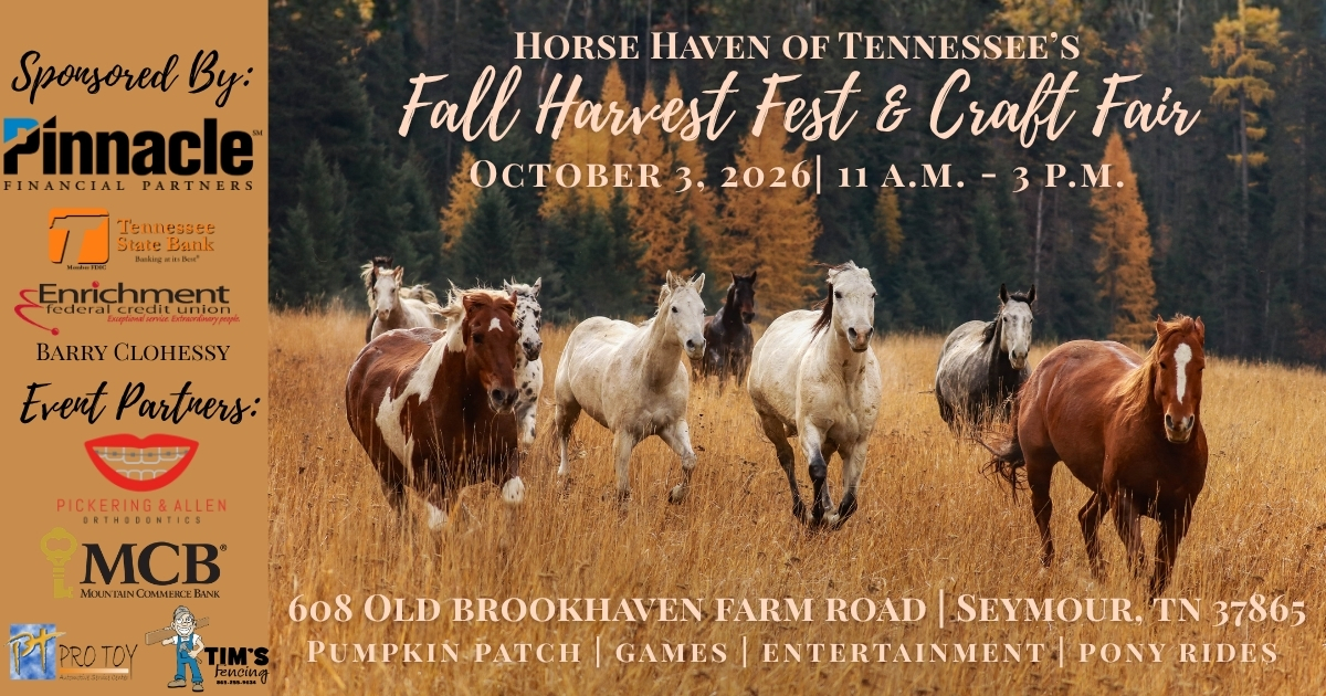 Campaign cover image for Fall Harvest Festival & Craft Fair