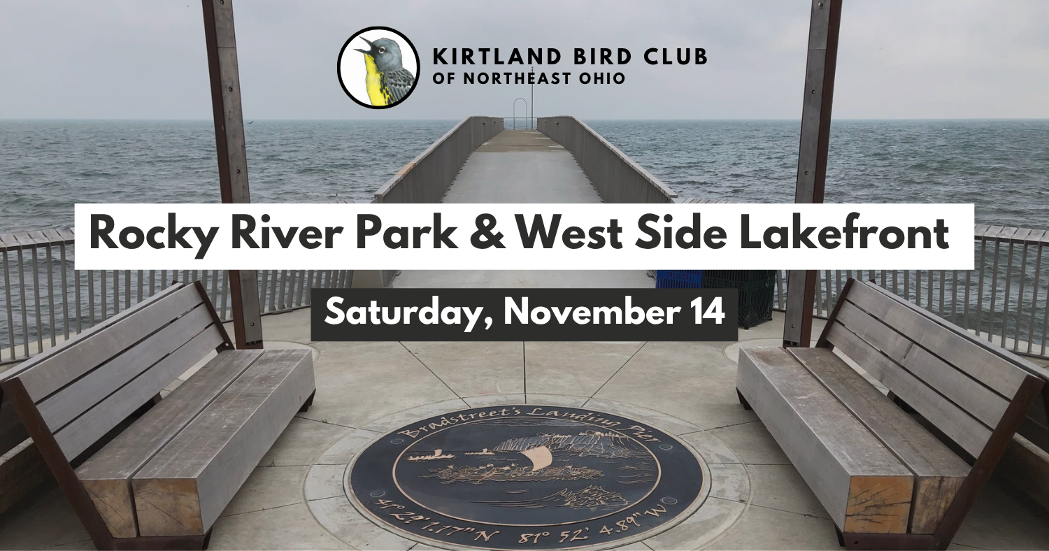 Campaign cover image for Rocky River Park & West Side Lakefront Field Trip