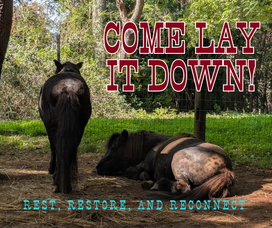 Campaign cover image for Retreat Raffle