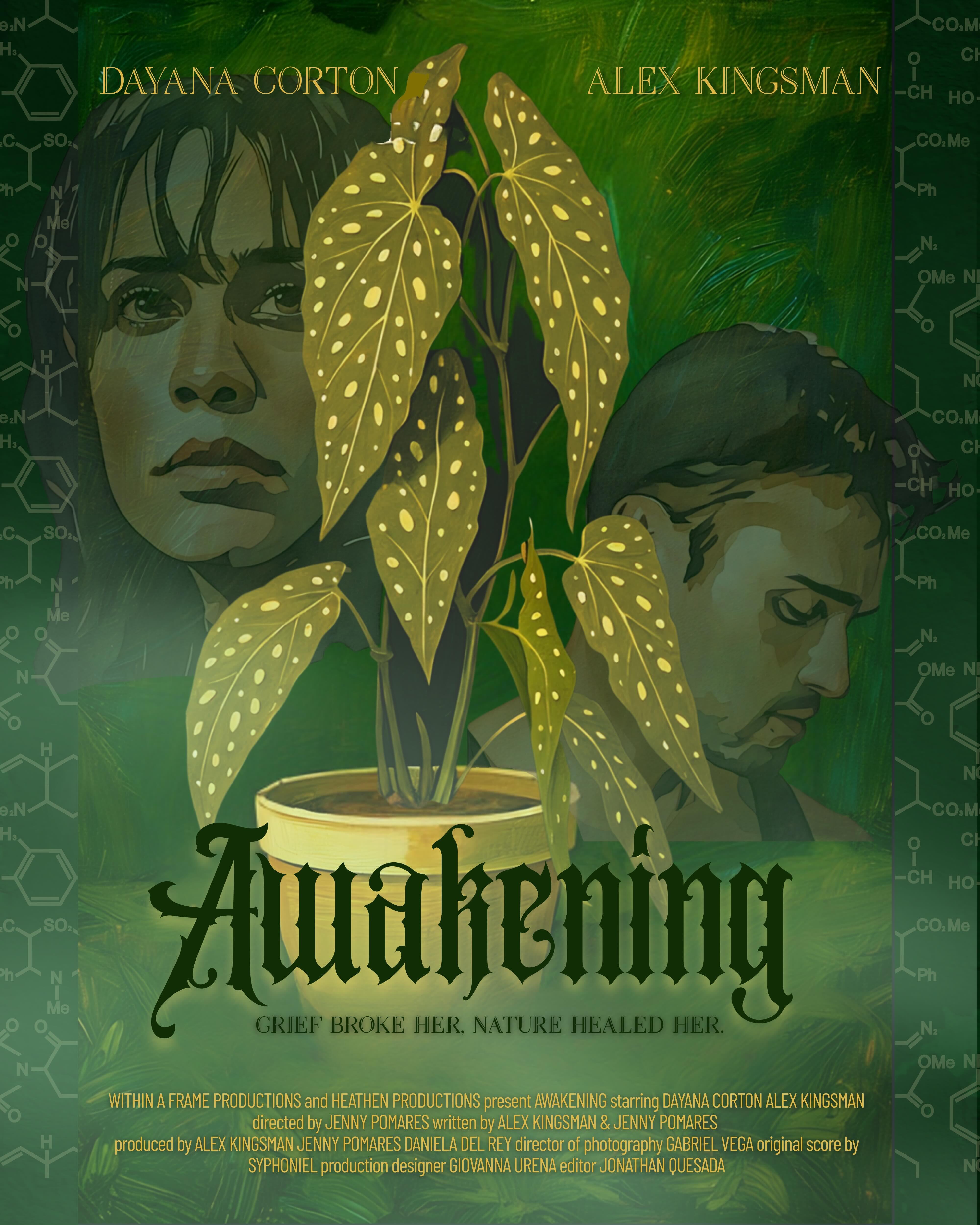 Campaign cover image for Grow With Us: Fund the Festival Run of Awakening