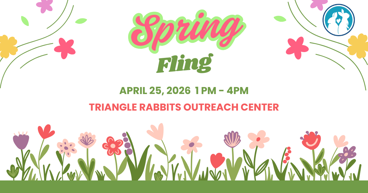 Campaign cover image for Spring Fling & Silent Auction 2026