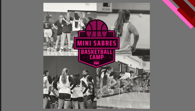 Campaign cover image for Mini Sabres Girls Basketball Camp