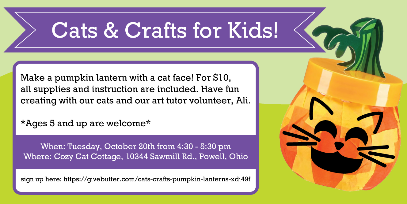 Campaign cover image for Cats & Crafts: Pumpkin Lanterns