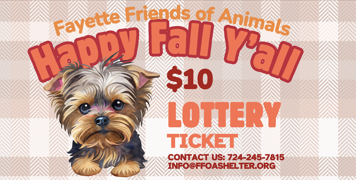 Campaign cover image for 🍂 Happy Fall Y’all Fundraiser Lottery! 🍂