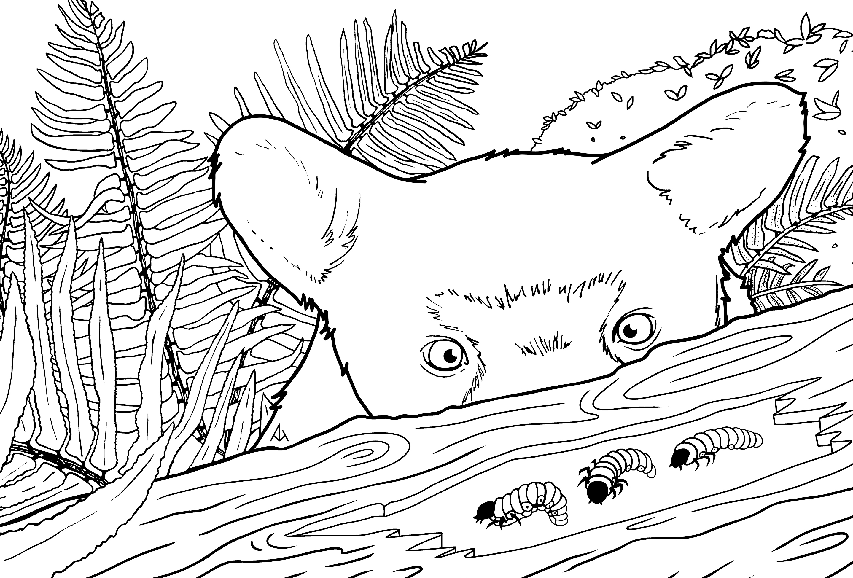 Campaign cover for Support Wildlife Education