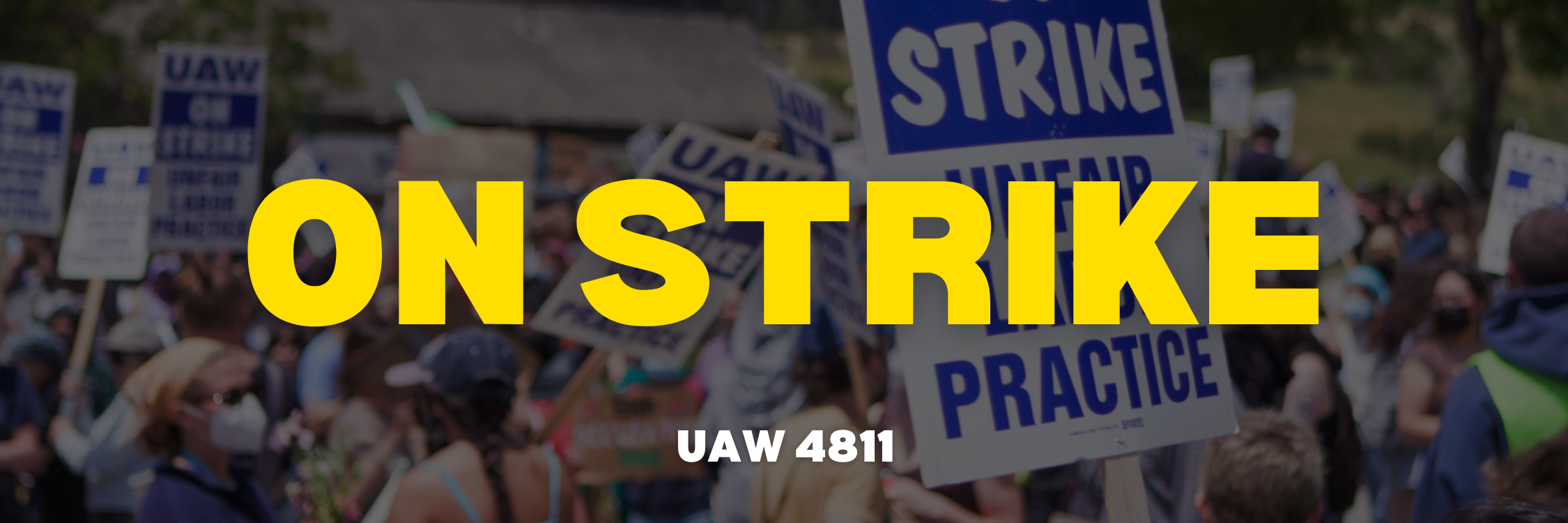 Campaign cover image for UCLA UAW 4811 Strike Kitchen