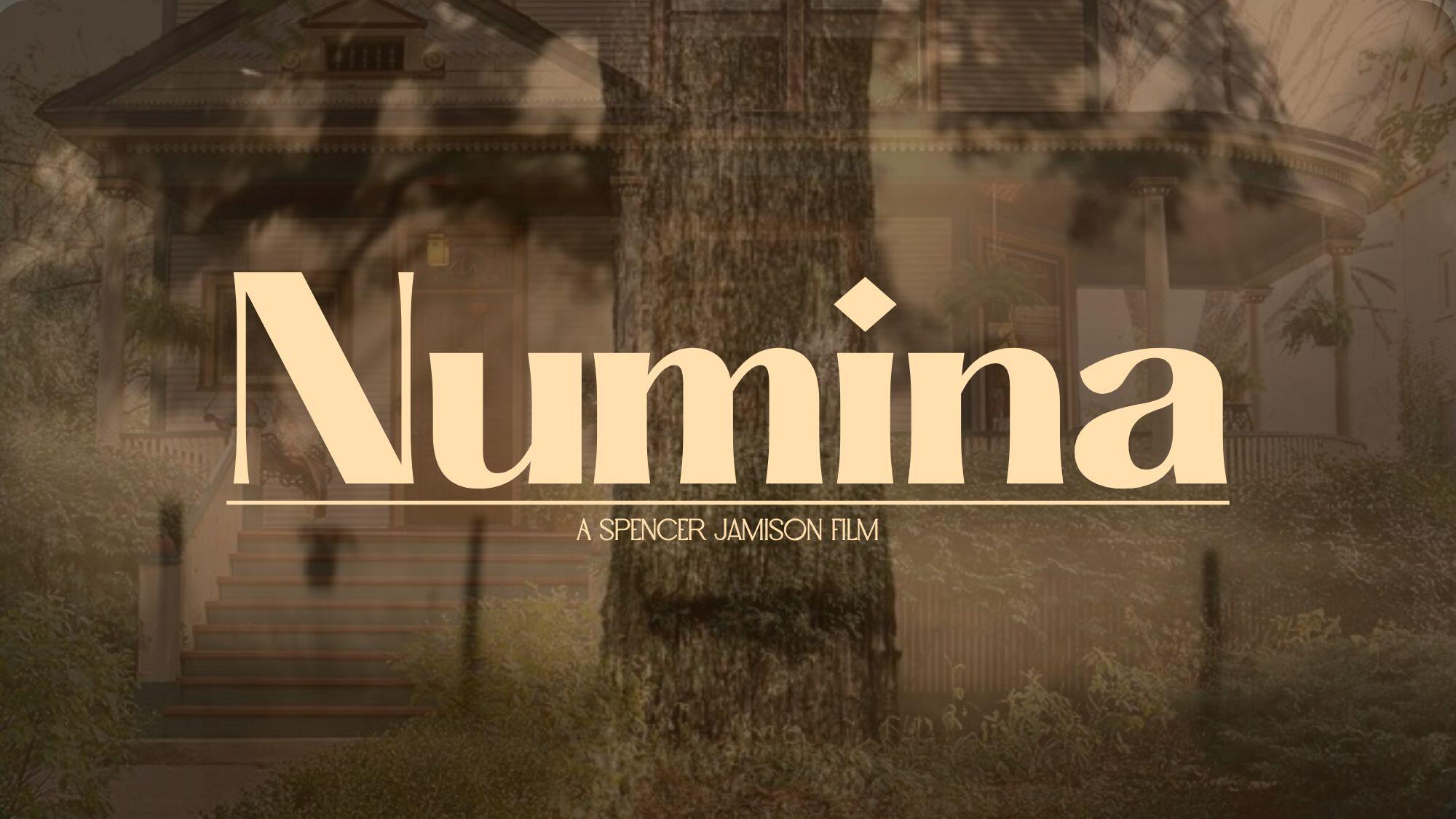 Campaign cover image for NUMINA