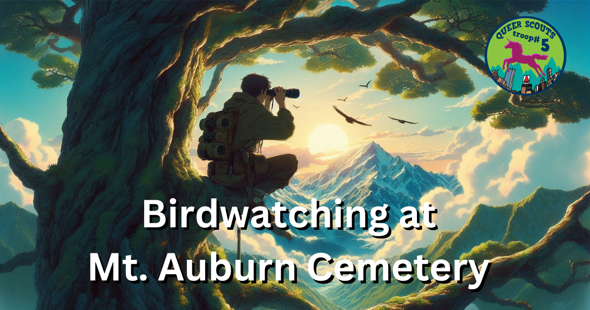 Campaign cover image for 2024 Boston March Birdwatching