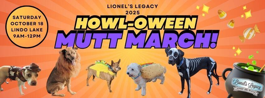 Campaign cover image for 2025 HOWL-oween Mutt March