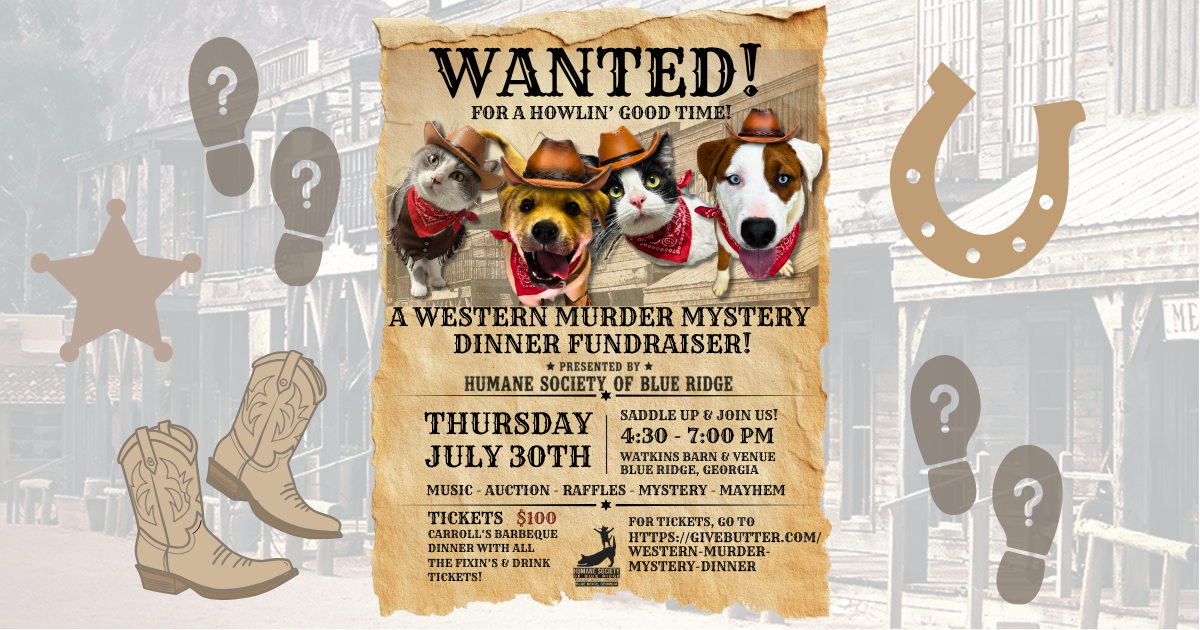 Campaign cover image for Western Murder Mystery Dinner