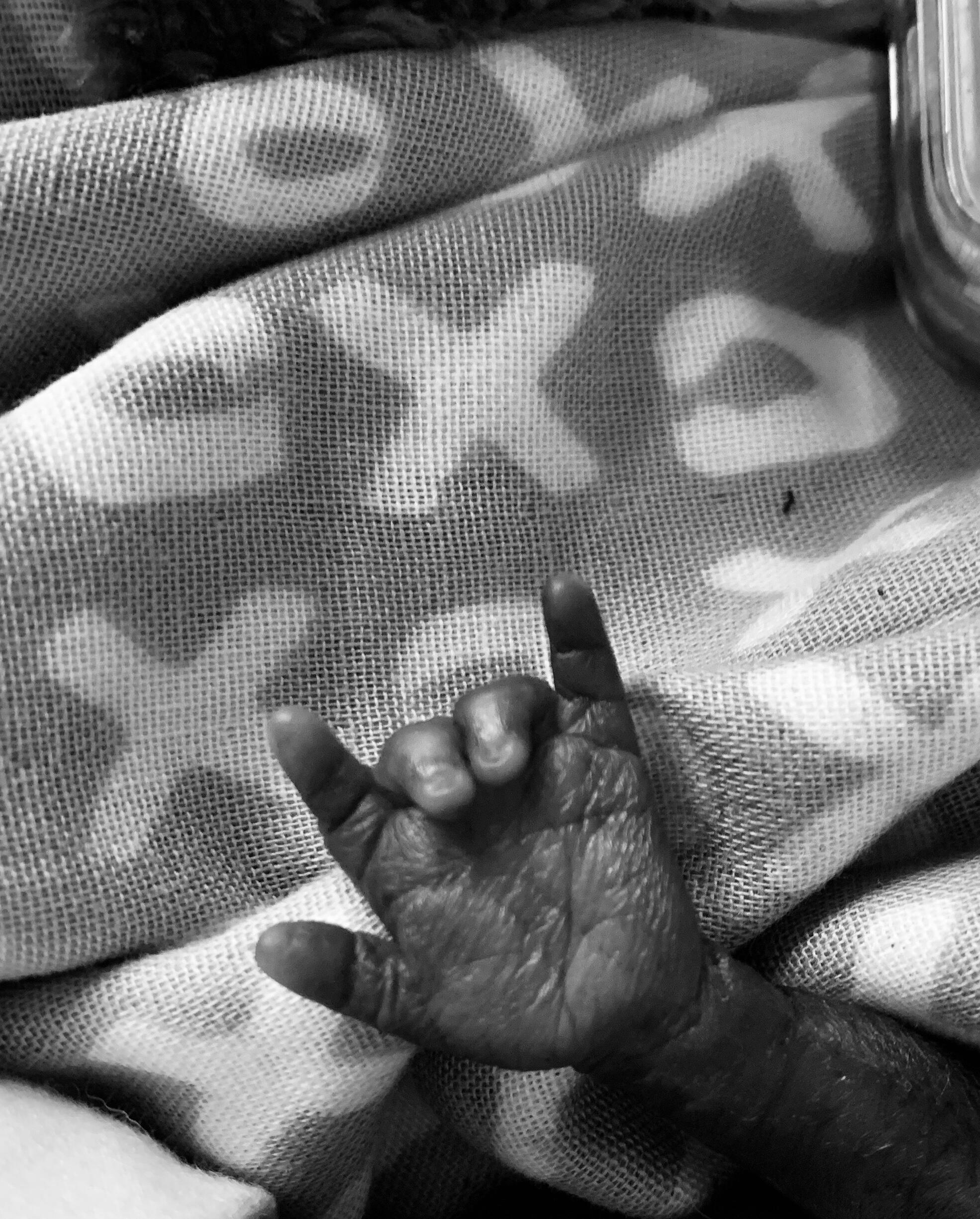 Campaign cover image for Braylon's Babies