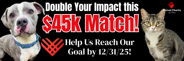 Campaign cover image for Holiday Match Campaign!