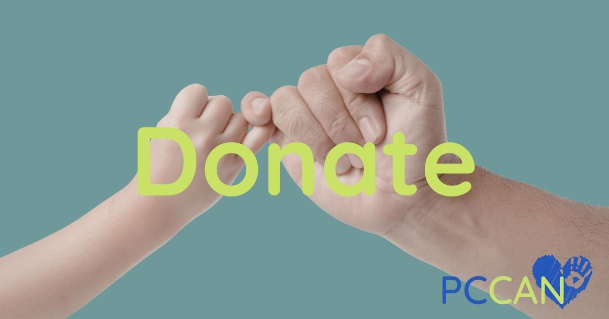 Campaign cover image for PCCAN General Donations