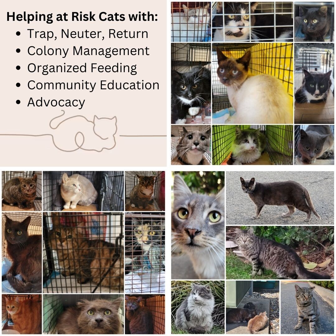 Campaign cover image for Alameda County CA  TNR Project