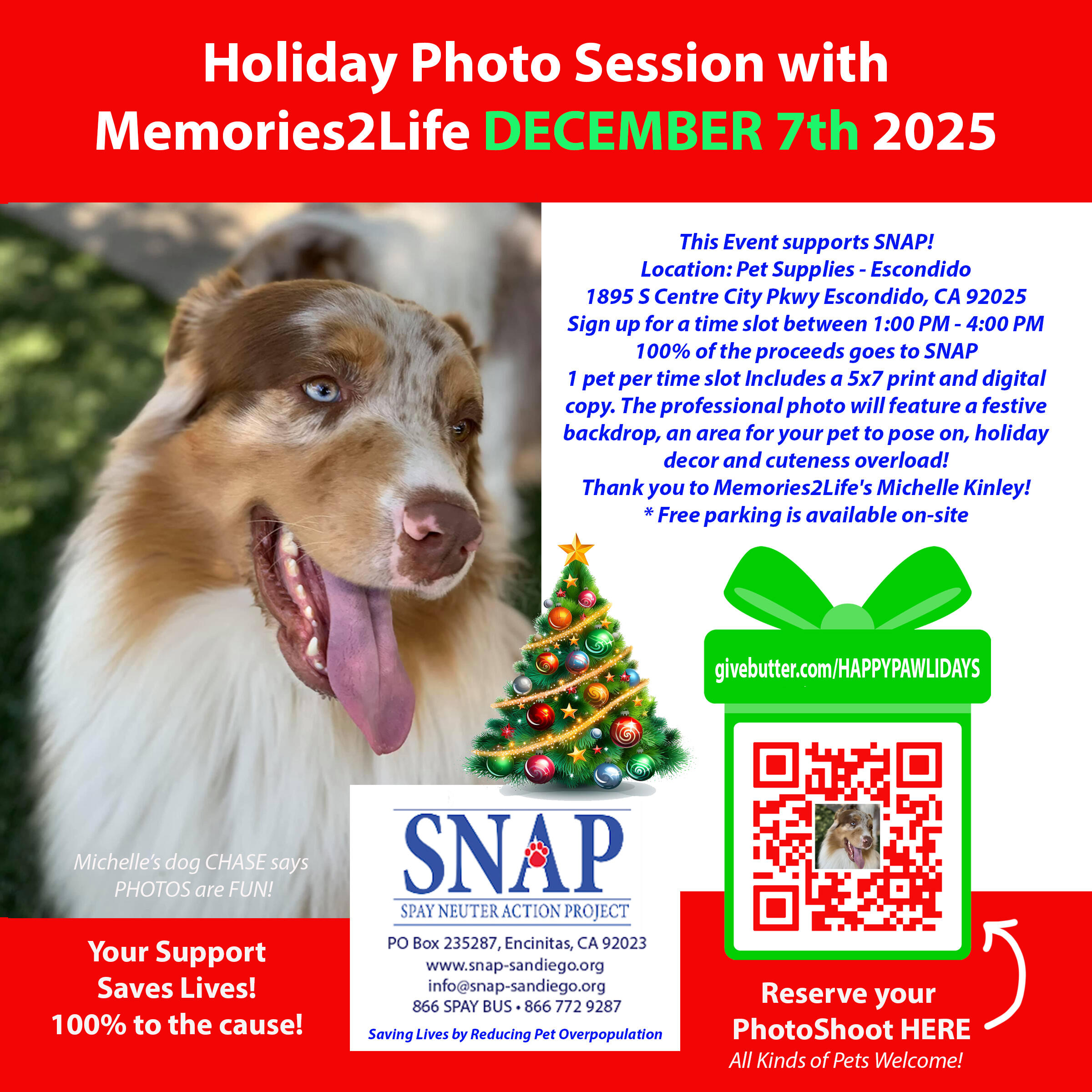 Campaign cover image for SNAP's PAWLIDAYS Photo Fundraiser