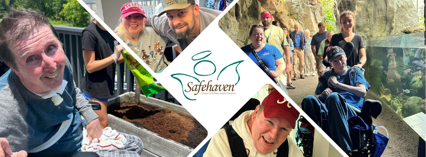 Campaign cover image for Support Safehaven