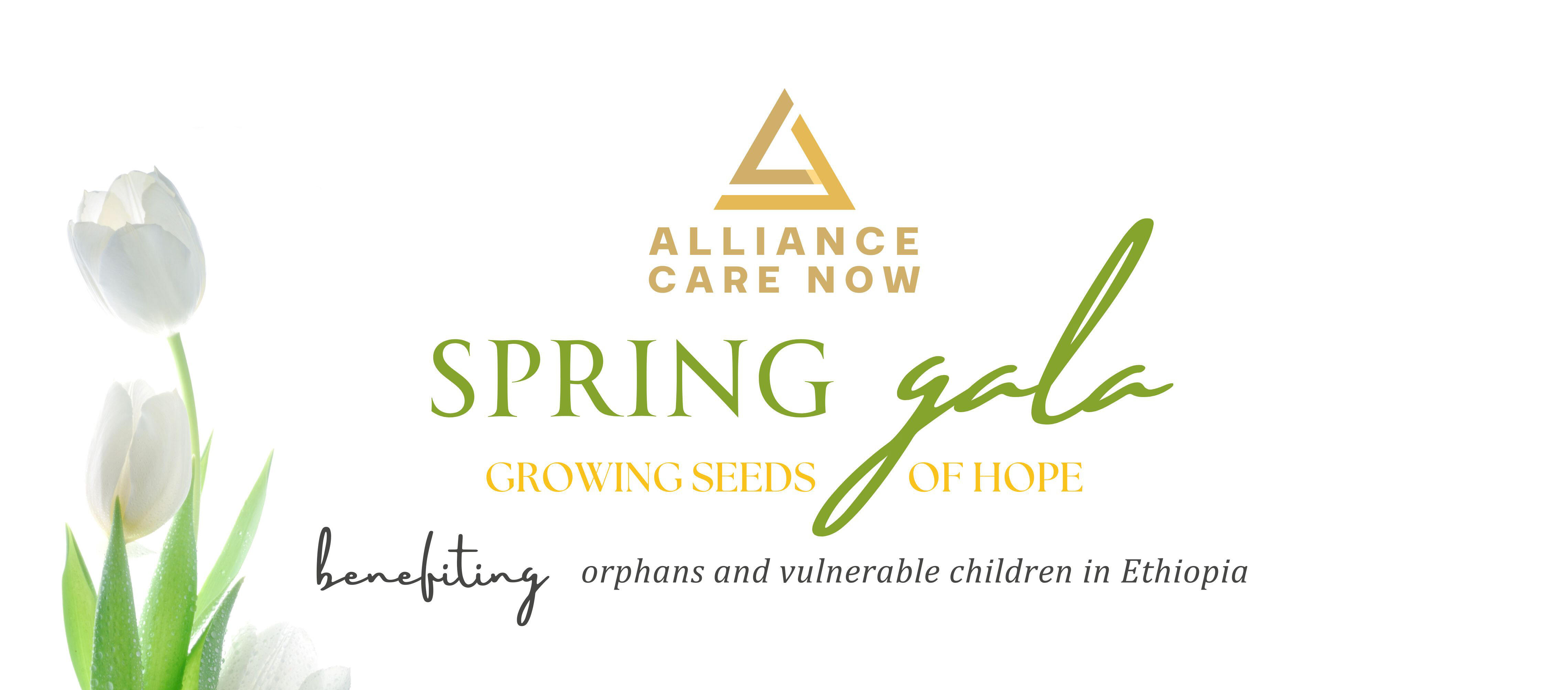Campaign cover image for ACN Spring Gala