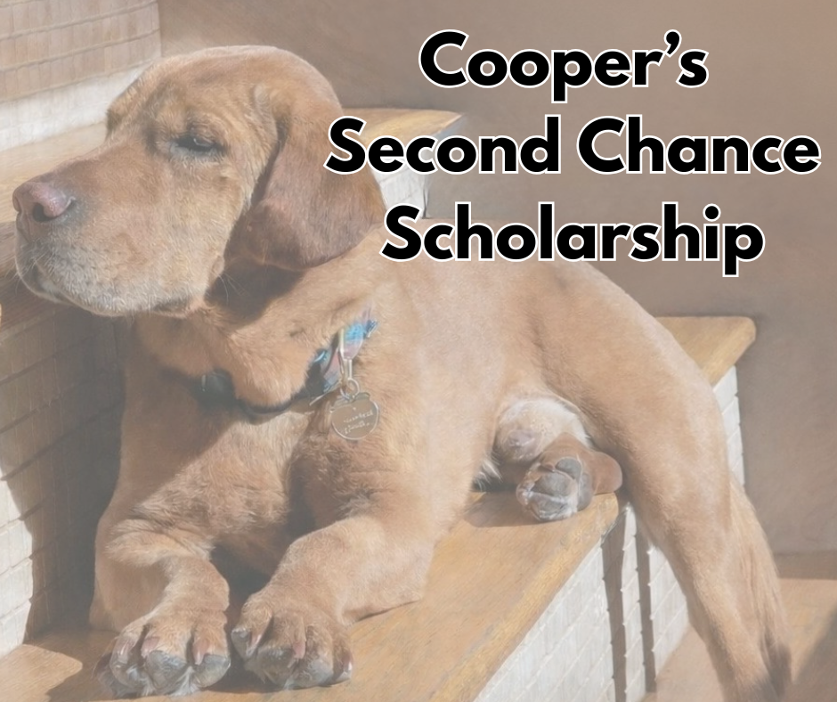Campaign cover image for Cooper's Second Chance Scholarship