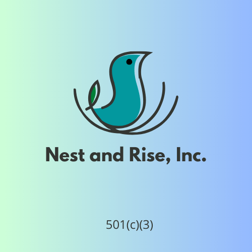 Campaign cover image for The Nest and Rise Innovation Lab Fund