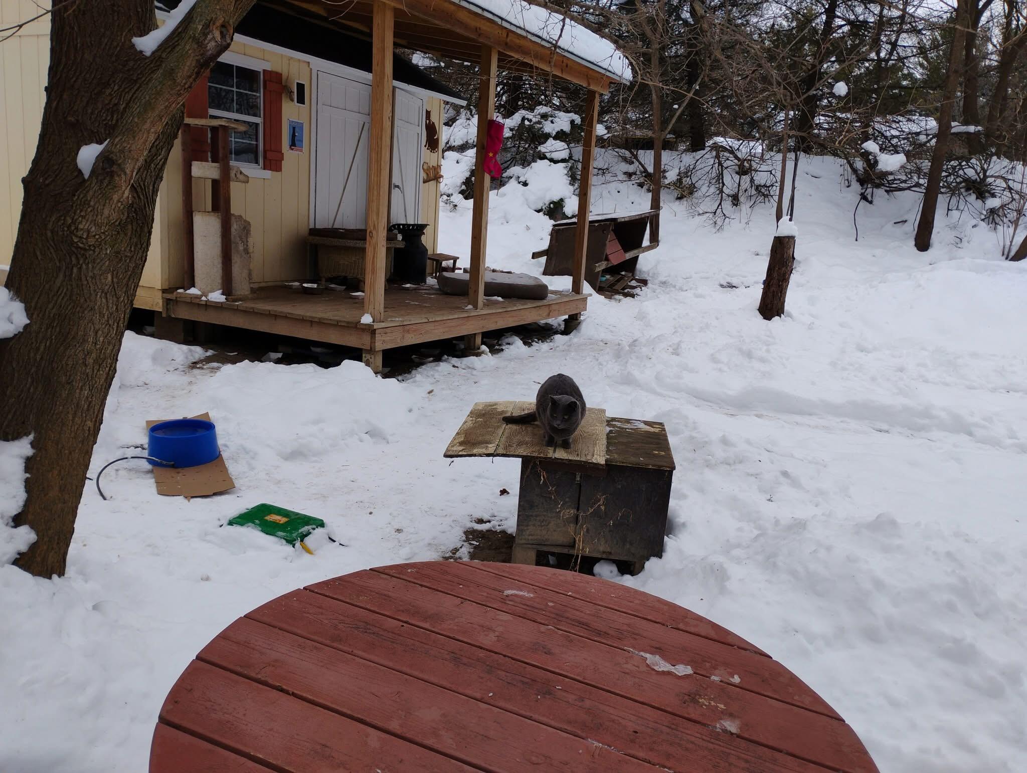 Campaign cover image for Emergency Furnace Replacement