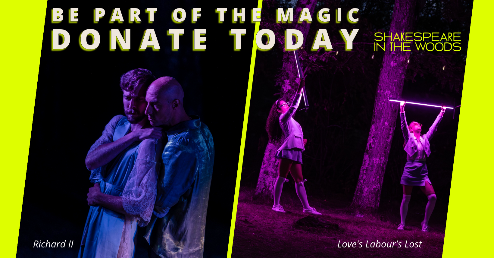 Campaign cover image for Shakespeare in the Woods' End of Year Give