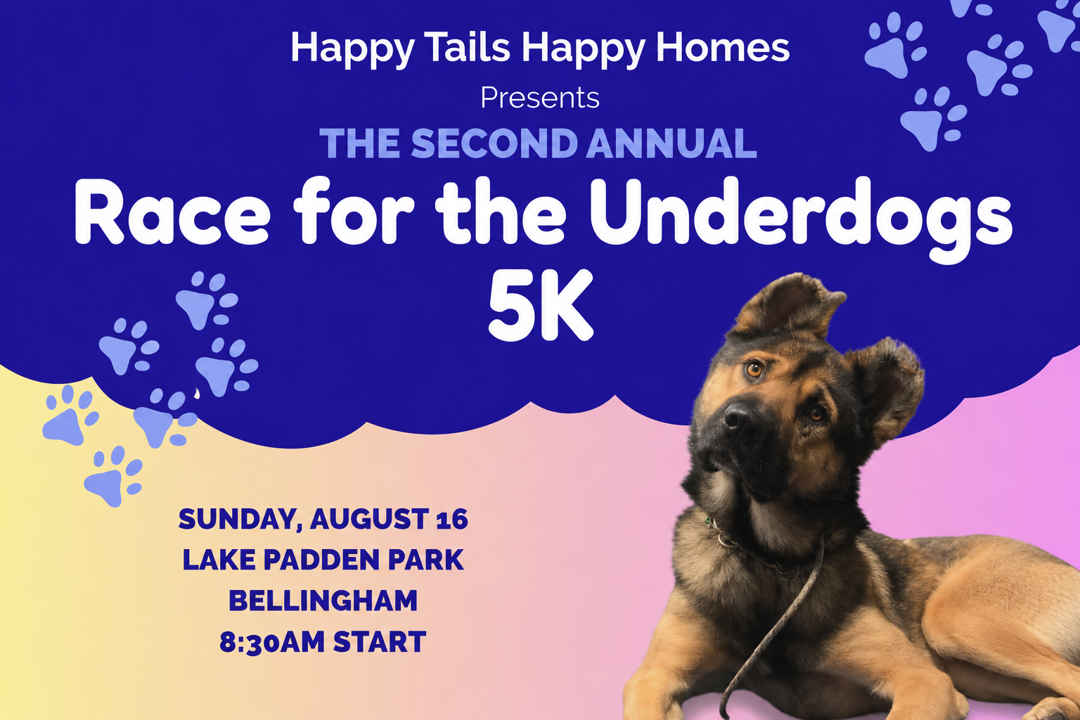 Campaign cover image for Race for the Underdogs