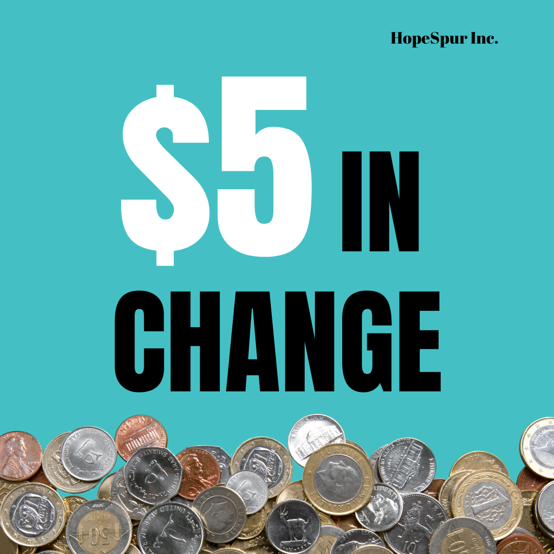 Campaign cover image for $5 In Change