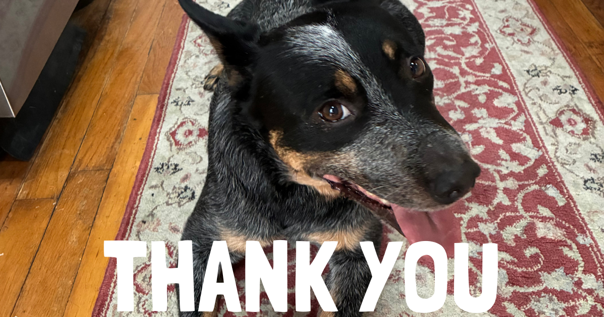 Campaign cover for Make your gift