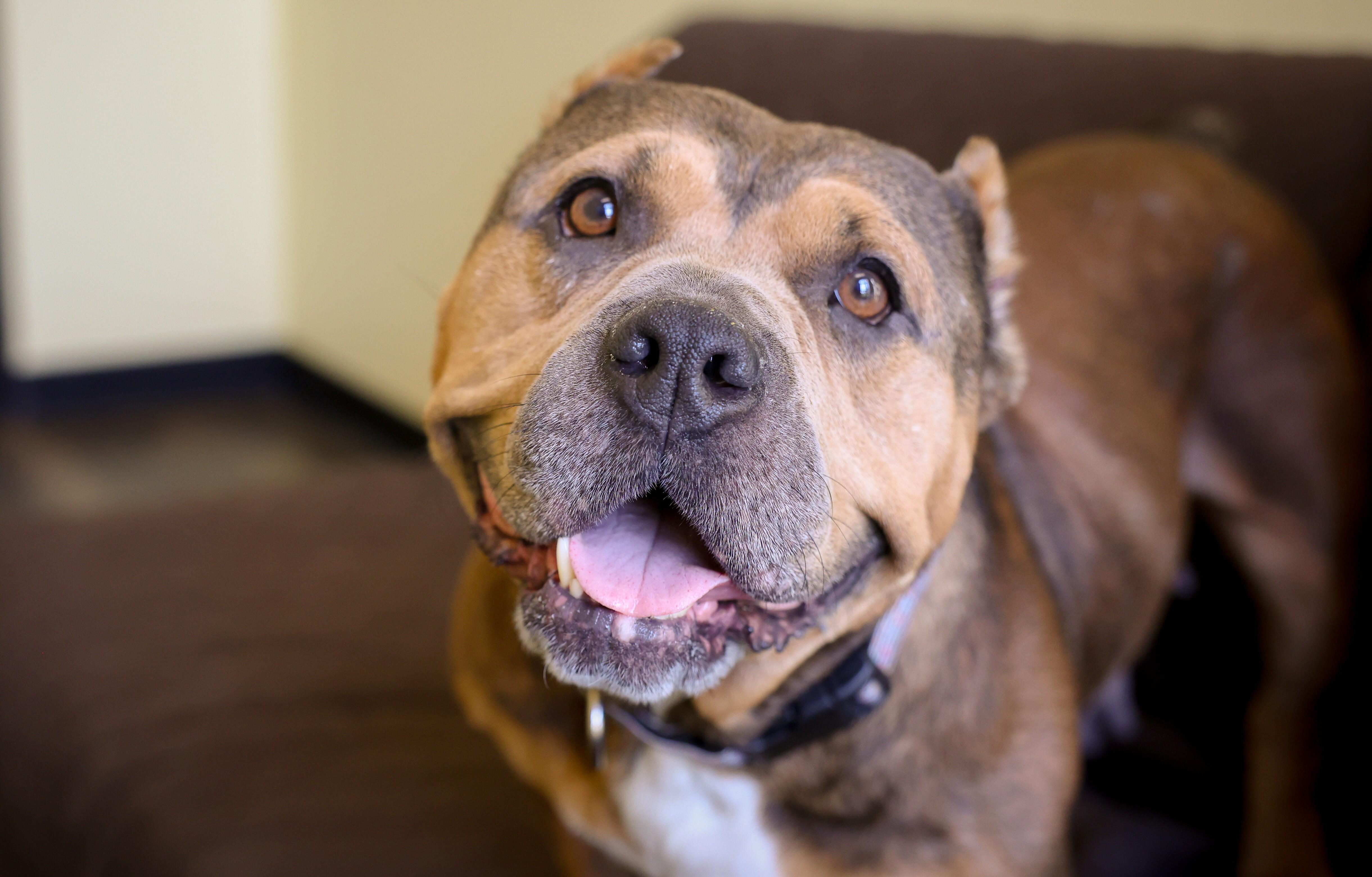 Campaign cover image for General Donation